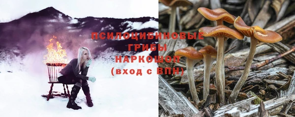 СК Апатиты