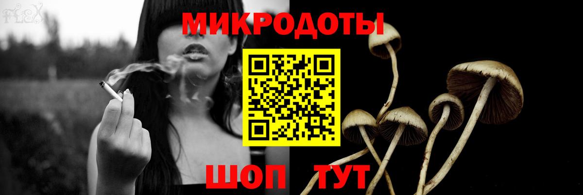 Дюртюли  где купить   Вход с VPN  Галлюциногенные грибы GOLDEN TEACHER 
